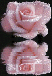 thumbnail of your picture 7