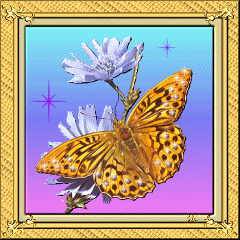 thumbnail of your picture 5