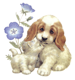 thumbnail of your picture 6