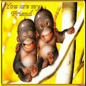 thumbnail of your picture 7