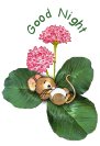 thumbnail of your picture 8