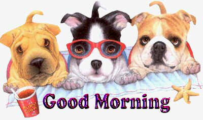 thumbnail of your picture 4