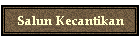 Salun Kecantikan