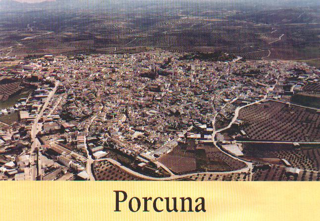 Vista aerea de Porcuna