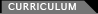 Curriculum