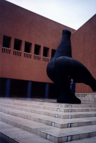 MARCO mty