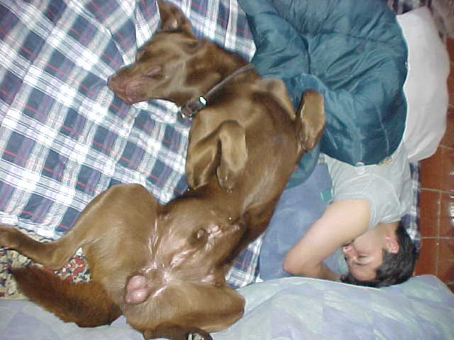 Alan + Brownie