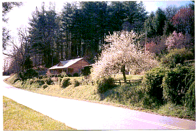 Road View