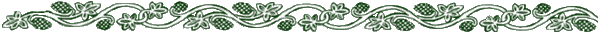 barra_1.gif (6876 bytes)
