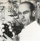 Albert Hofmann en el laboratorio, con una mol�cula de LSD-25