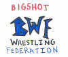 bwflogo.jpg (13841 bytes)