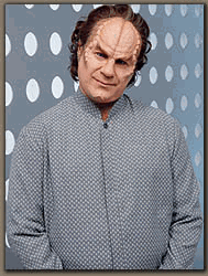 phlox.gif