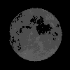 new.gif