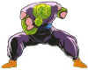 newpiccolo.jpg (36667 bytes)