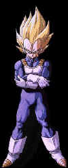 newvegeta2.jpg (12543 bytes)