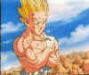 newvegeta.jpg (18449 bytes)