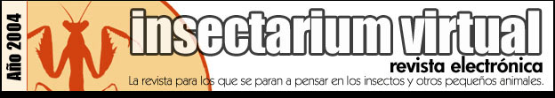 Informaci�n,Reportajes, Cr�a de Insectos, Fotos y m�s