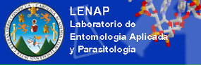 Laboratorio de Entomolog�a Aplicada y Parasitolog�a - USAC -