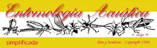Entomolog�a Acu�tica Simplificada - Los Insectos Acu�ticos -
