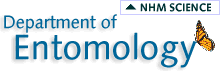 Informaci�n Entomol�gica (Ingl�s)