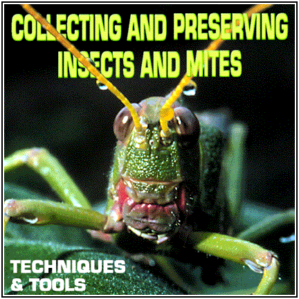 Equipo para colectar y preservar&nbsp; Insectos (Ingl�s)