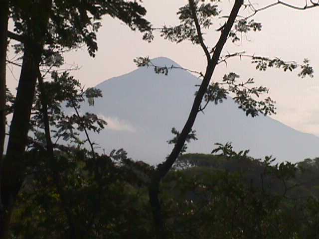 Vista general del sitio de colecta en la Finca Sabana Grande, Escuintla, Guatemala