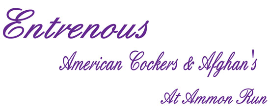 entrenouslogo