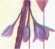 violet
