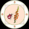 beetlefin.JPG (29030 bytes)
