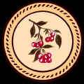 cherrys_fin.JPG (46232 bytes)