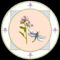 dragonflyfin.JPG (31865 bytes)