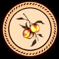 peache_fin.JPG (43483 bytes)