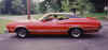 Paul & Mellisa's 73 Gran Torino.jpg (52043 bytes)