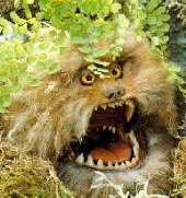 Rarrrrrrrrrrrrr!