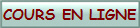 COURS EN LIGNE