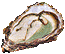 hu�tre
