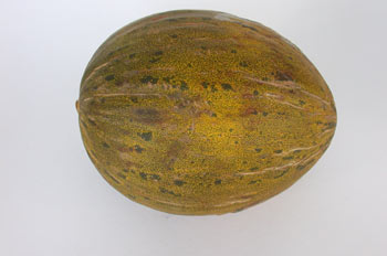 melon.jpg