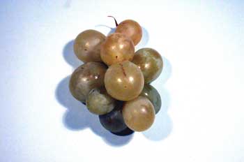 raisins.jpg