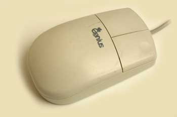 souris.jpg