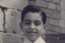 Comita Andante