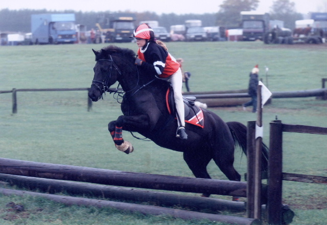 &copy; holme trakehners
