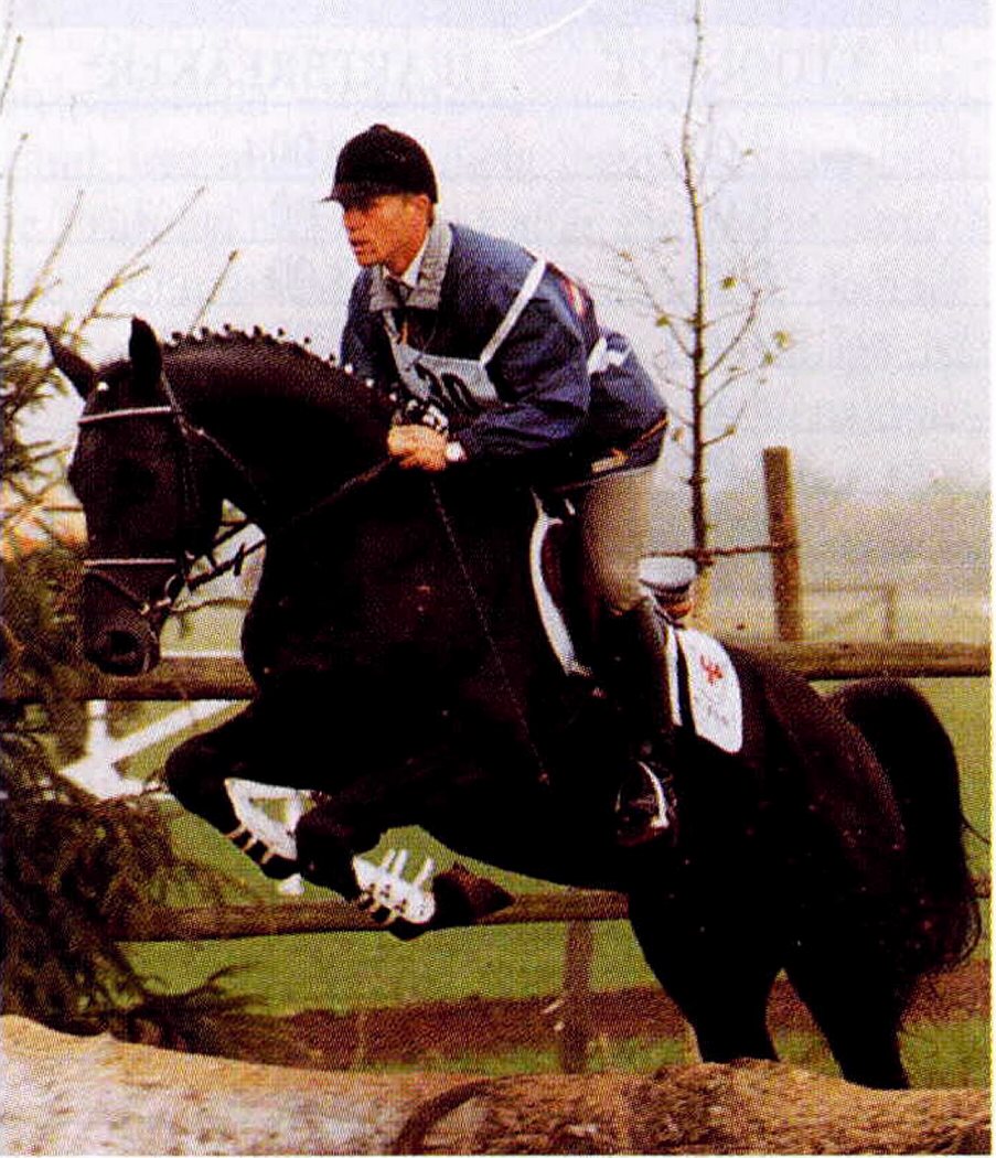 &copy; holme trakehners