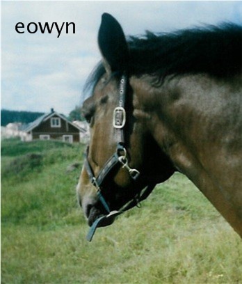 &copy; eowyn