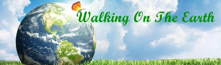 Homepage Banner