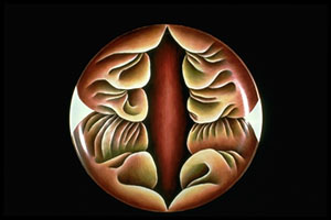 Primordial Goddess plate