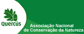 Quercus