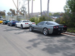 Vette
