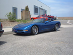 Vette