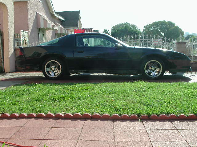 old pic
