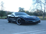 Vette